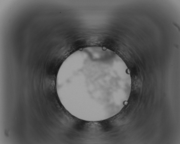 X0000092290427200710041432