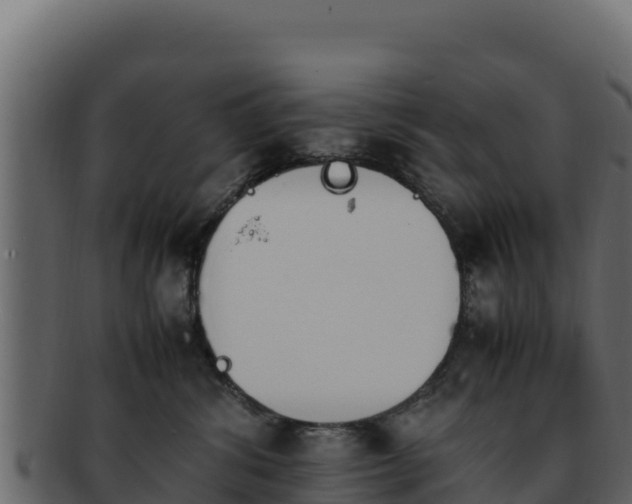 X0000092290428200710041432