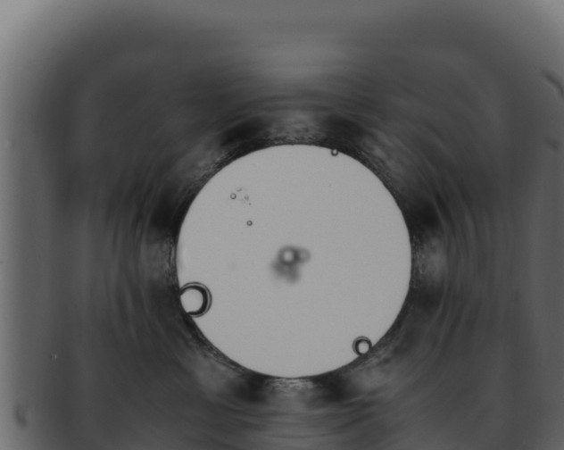 X0000092290429200710041432