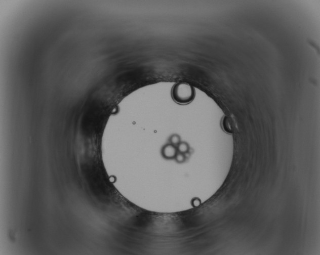 X0000092290432200710041432