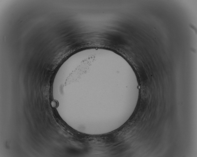 X0000092290434200710041432