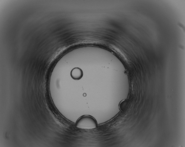 X0000092290436200710041432