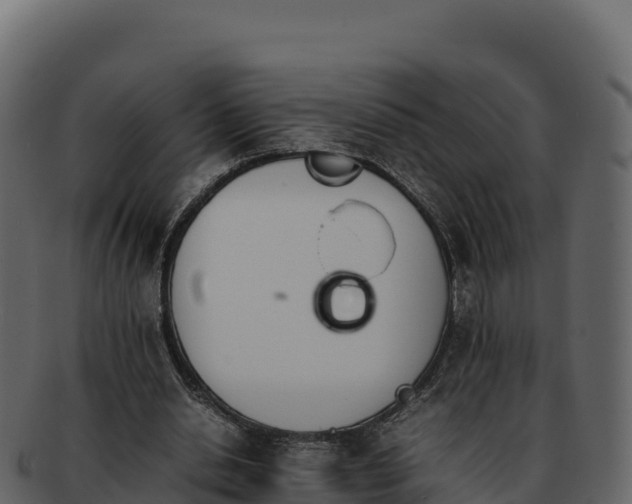 X0000092290438200710041432