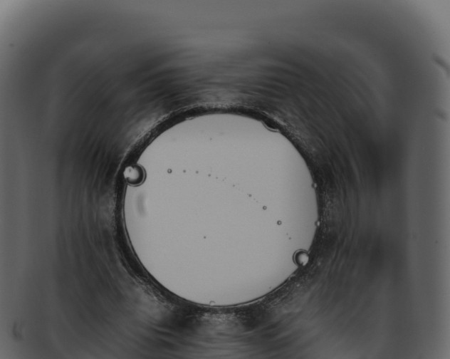 X0000092290440200710041432