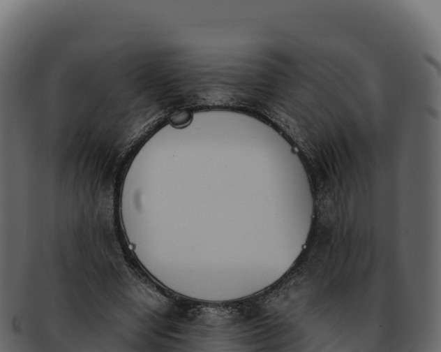 X0000092290442200710041432