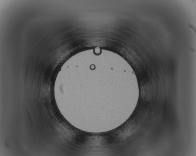 X0000092290444200710041432