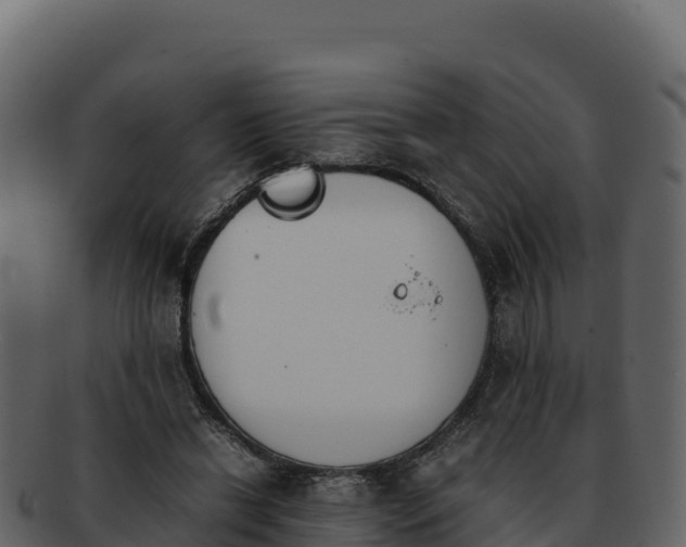 X0000092290446200710041432