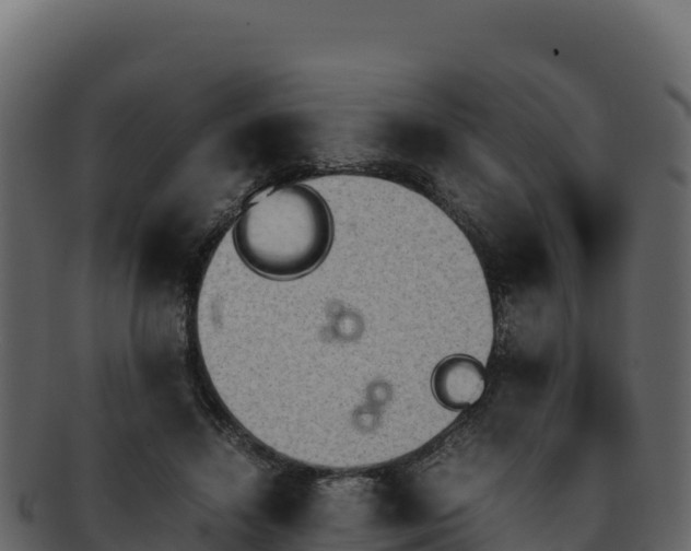 X0000092290452200710041432