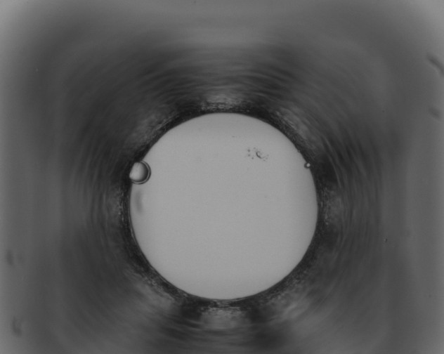 X0000092290455200710041432