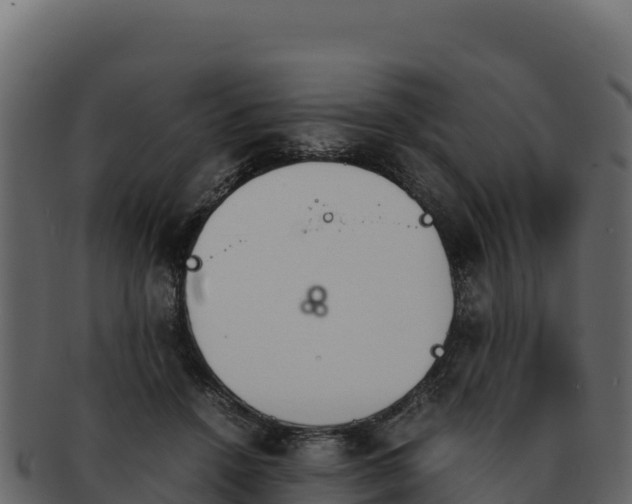 X0000092290456200710041432