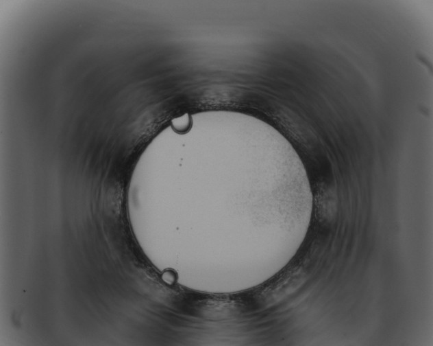 X0000092290458200710041432