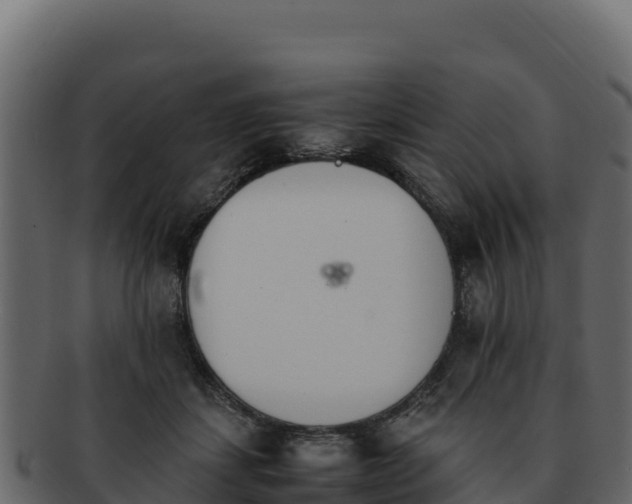 X0000092290459200710041432