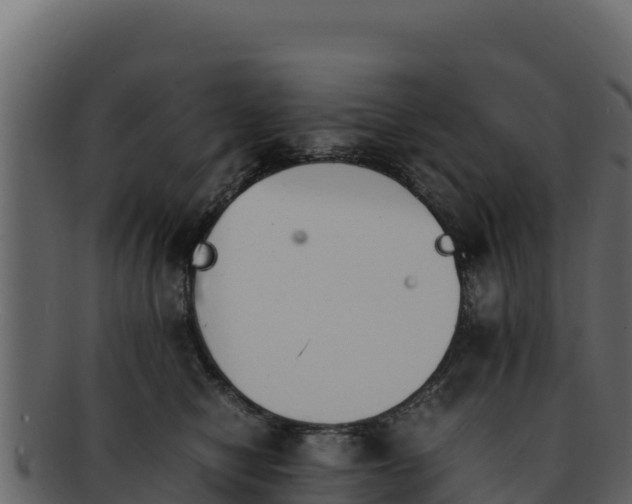 X0000092290470200710041432