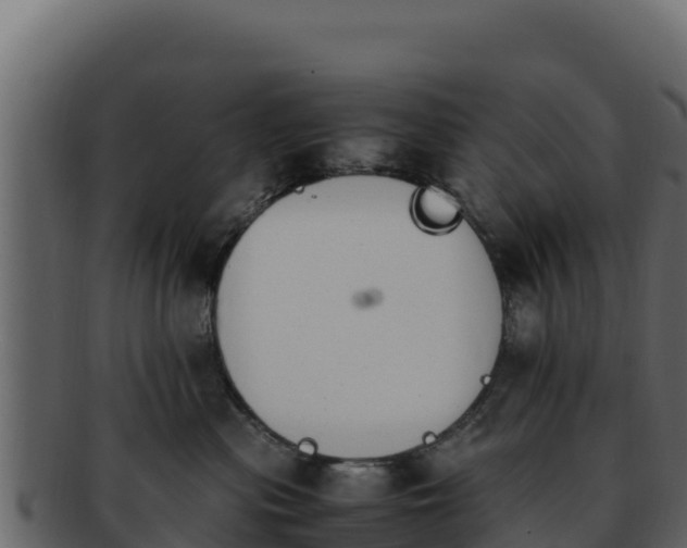 X0000092290477200710041432