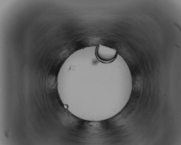 X0000092290478200710041432