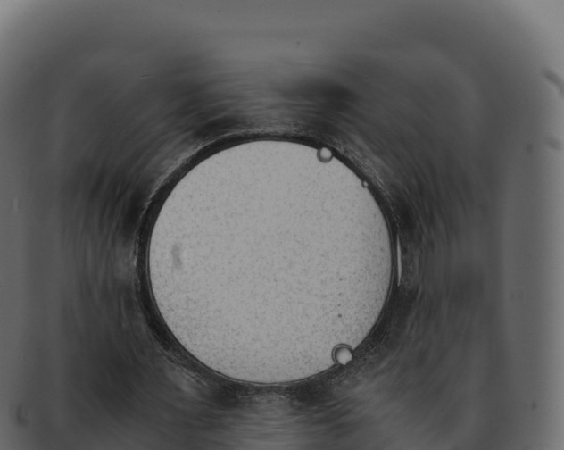 X0000092290483200710041432