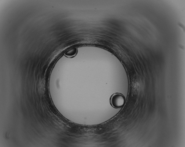 X0000092290484200710041432