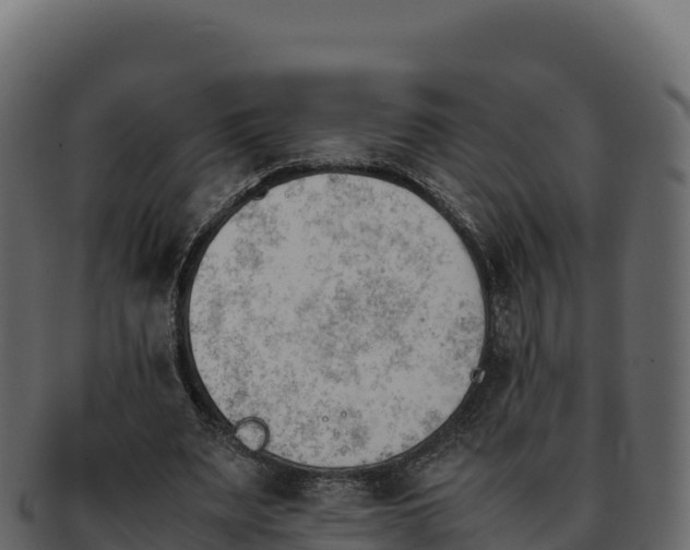 X0000092290487200710041432