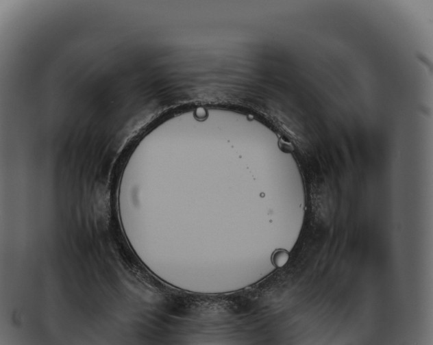 X0000092290488200710041432