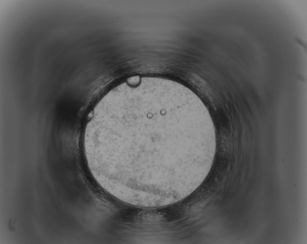 X0000092290491200710041432