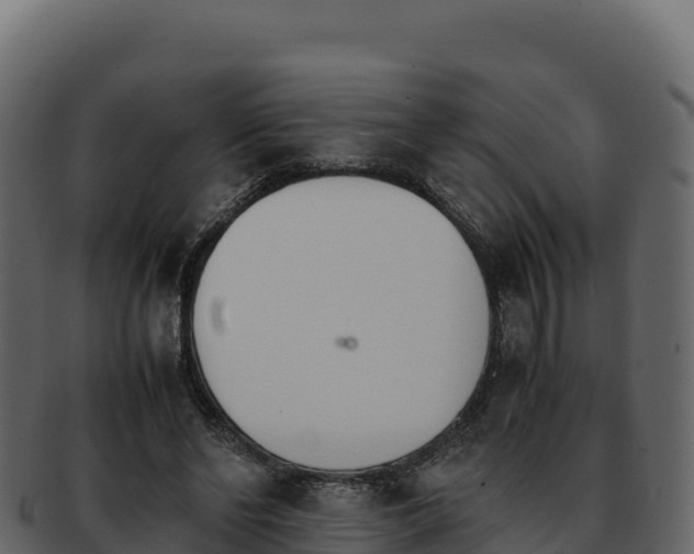 X0000092290494200710041432