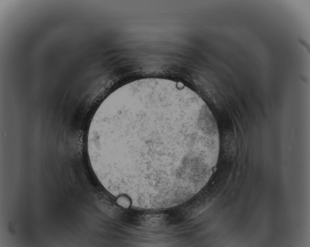 X0000092290495200710041432