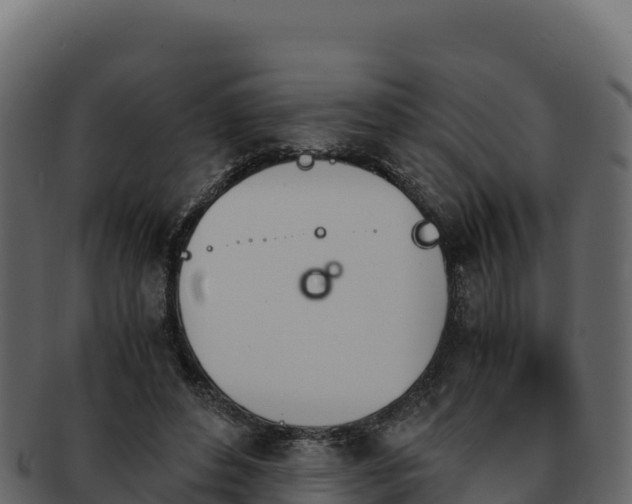 X0000092290496200710041432