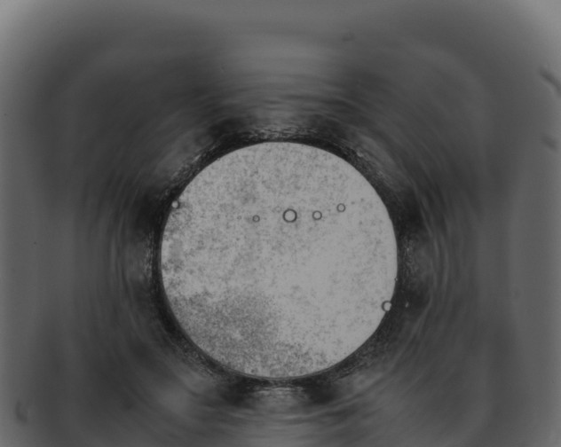 X0000092290499200710041432