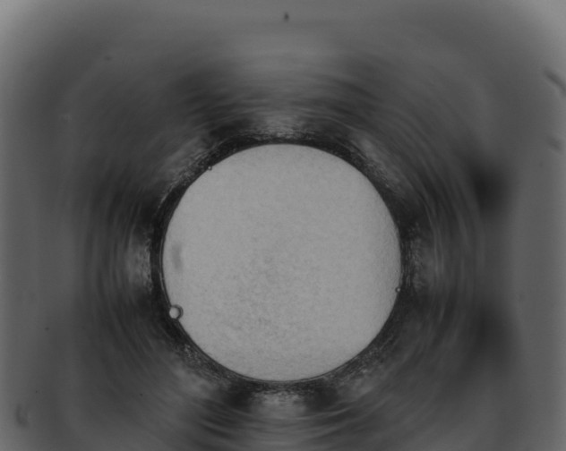 X0000092290500200710041432