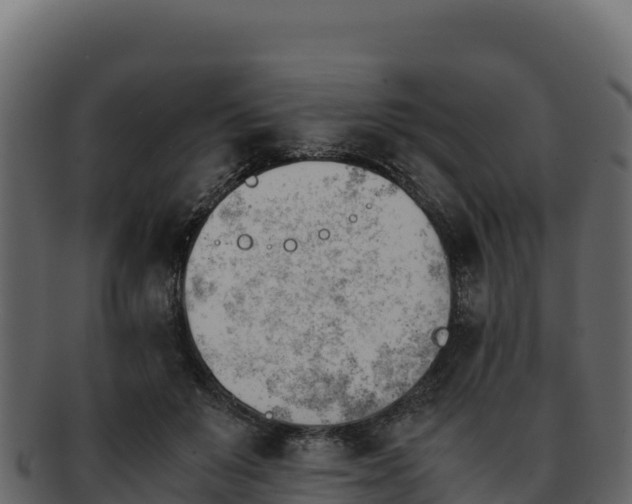 X0000092290503200710041432