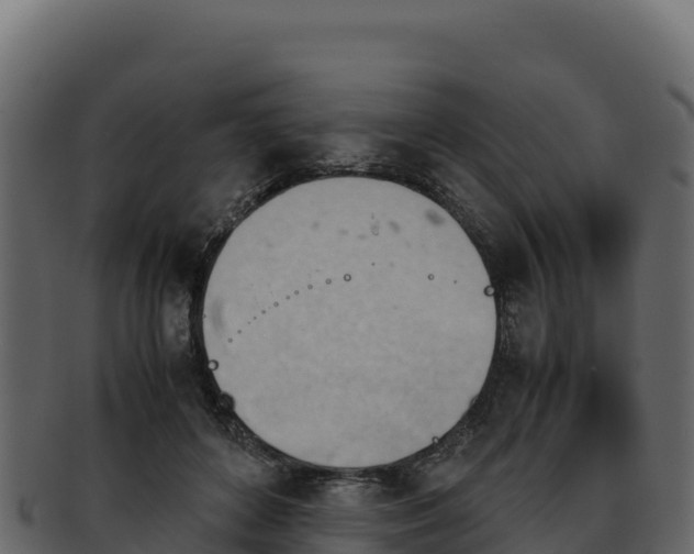 X0000092290504200710041432