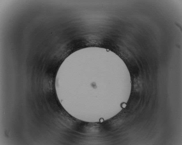 X0000092290514200710041431