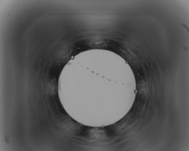 X0000092290515200710041431