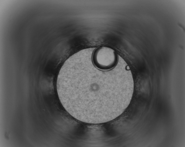 X0000092290516200710041431