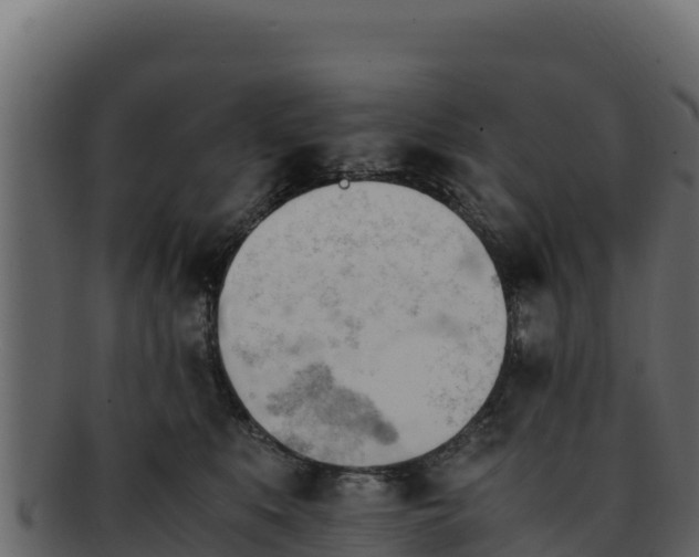 X0000092290519200710041431