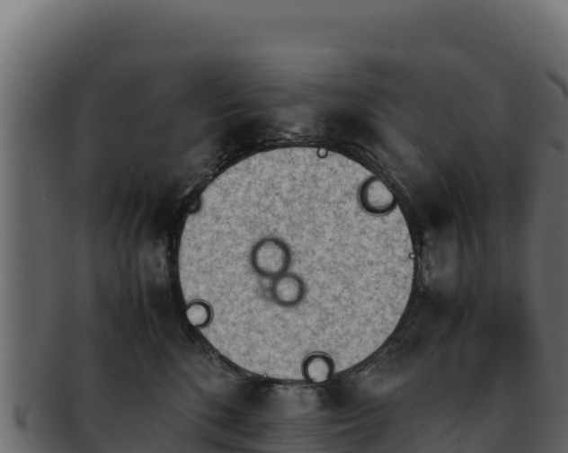 X0000092290520200710041431