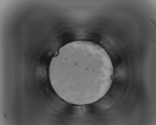 X0000092290524200710041431