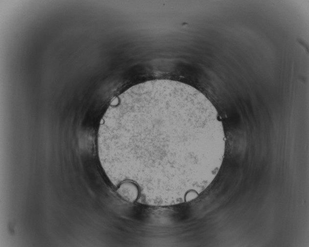 X0000092290527200710041431