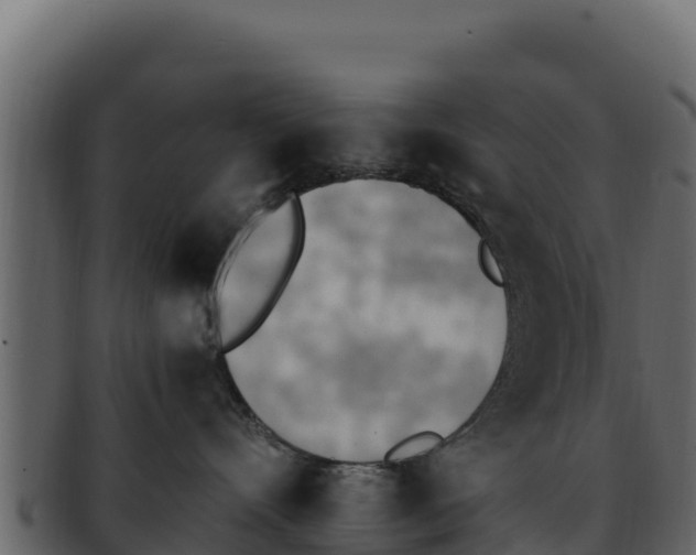 X0000092290528200710041431