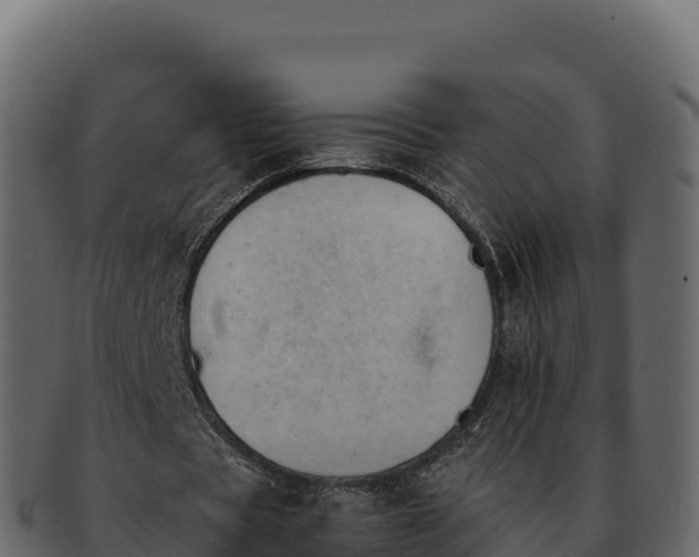 X0000092290529200710041431