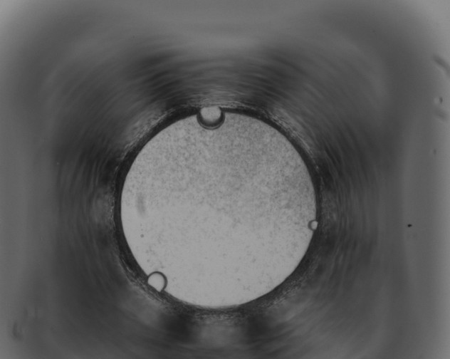 X0000092290533200710041431