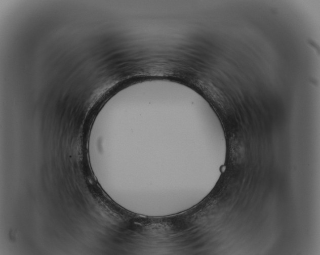 X0000092290536200710041431