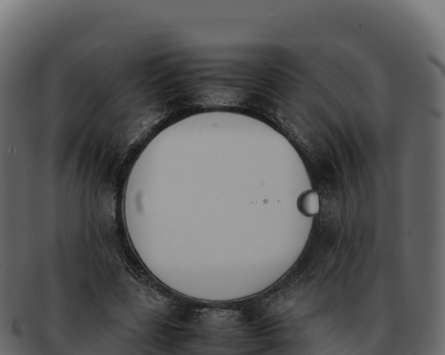 X0000092290539200710041431