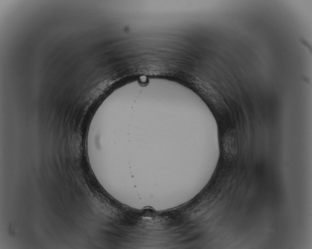 X0000092290540200710041431