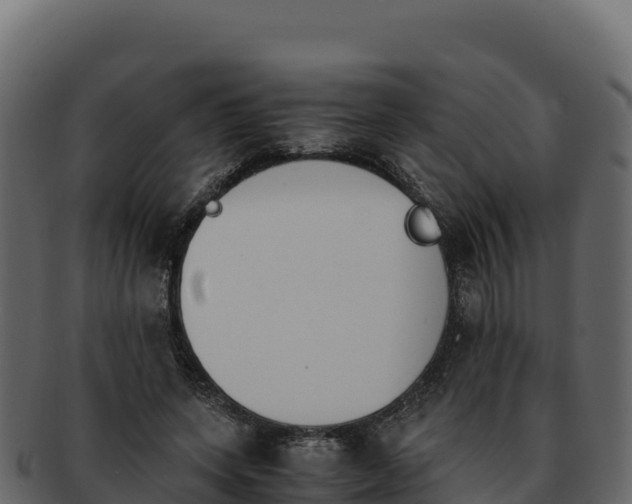 X0000092290543200710041431