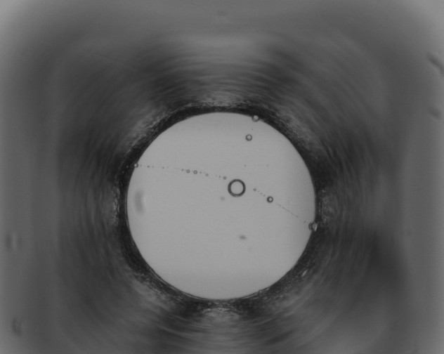 X0000092290544200710041431