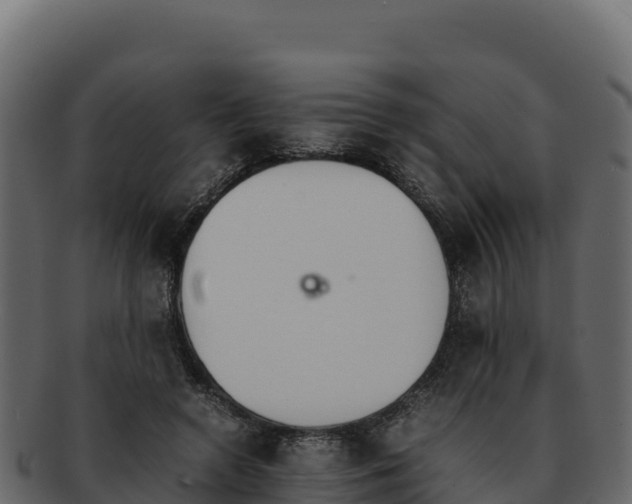 X0000092290546200710041431