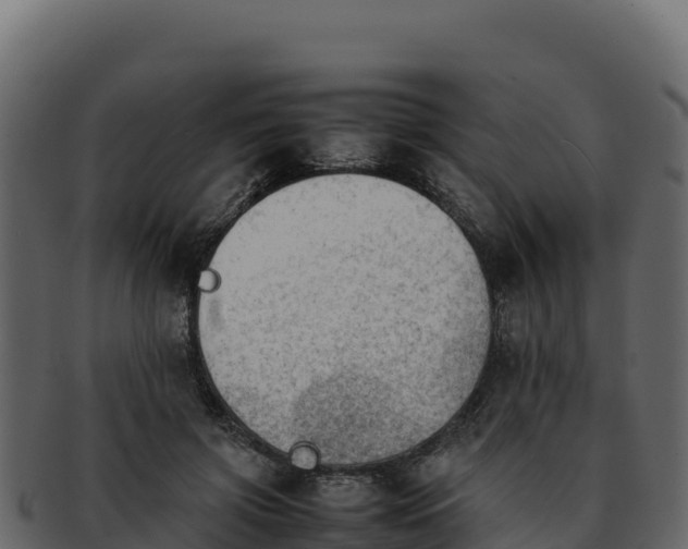 X0000092290549200710041431