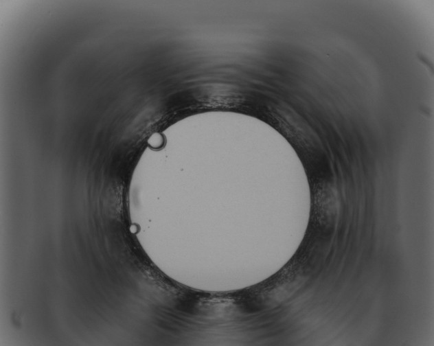 X0000092290554200710041431