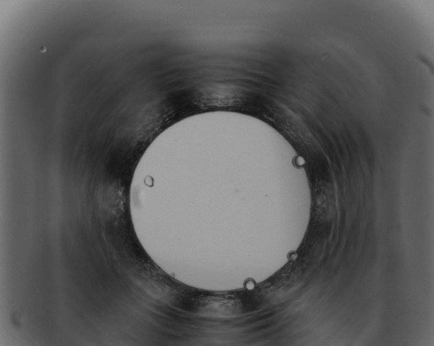 X0000092290555200710041431